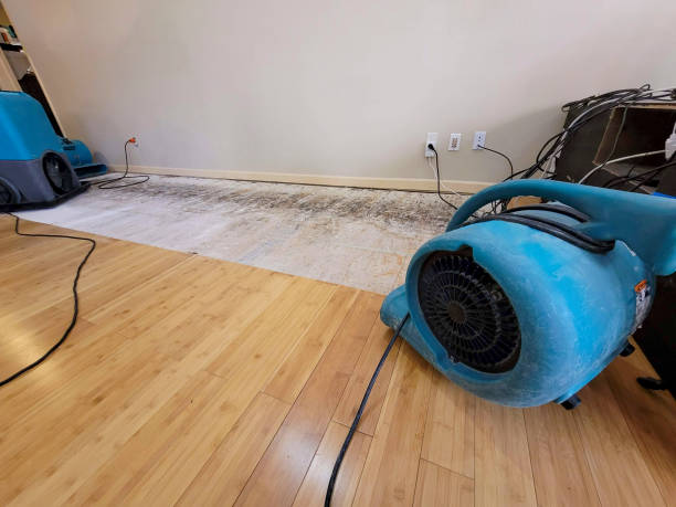 Professional Water Damage Repair technician working in Le Grand, CA
